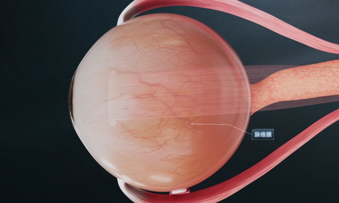 圖片.png 圖片.png