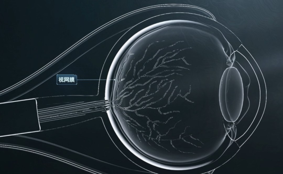 圖片.png 圖片.png