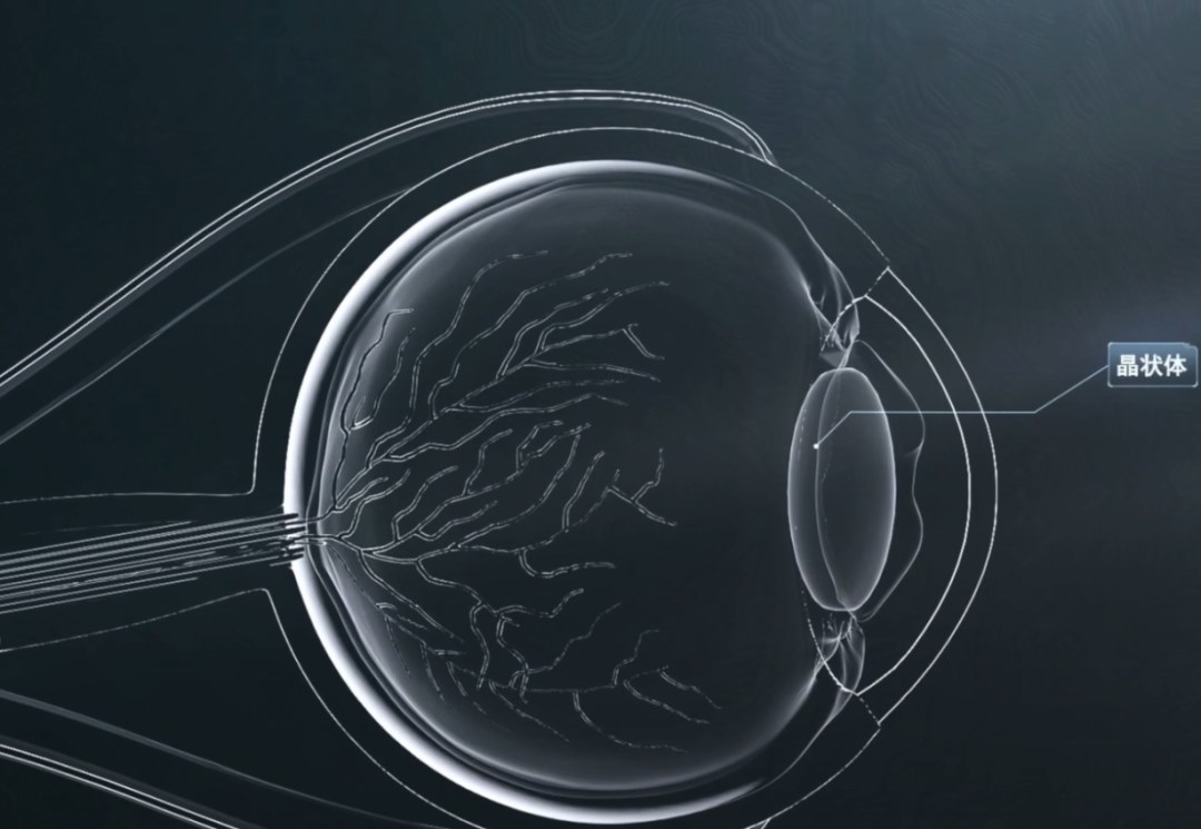 圖片.png 圖片.png