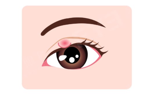 圖片.png 圖片.png