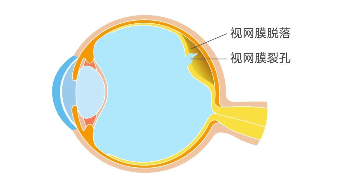 圖片.png 圖片.png