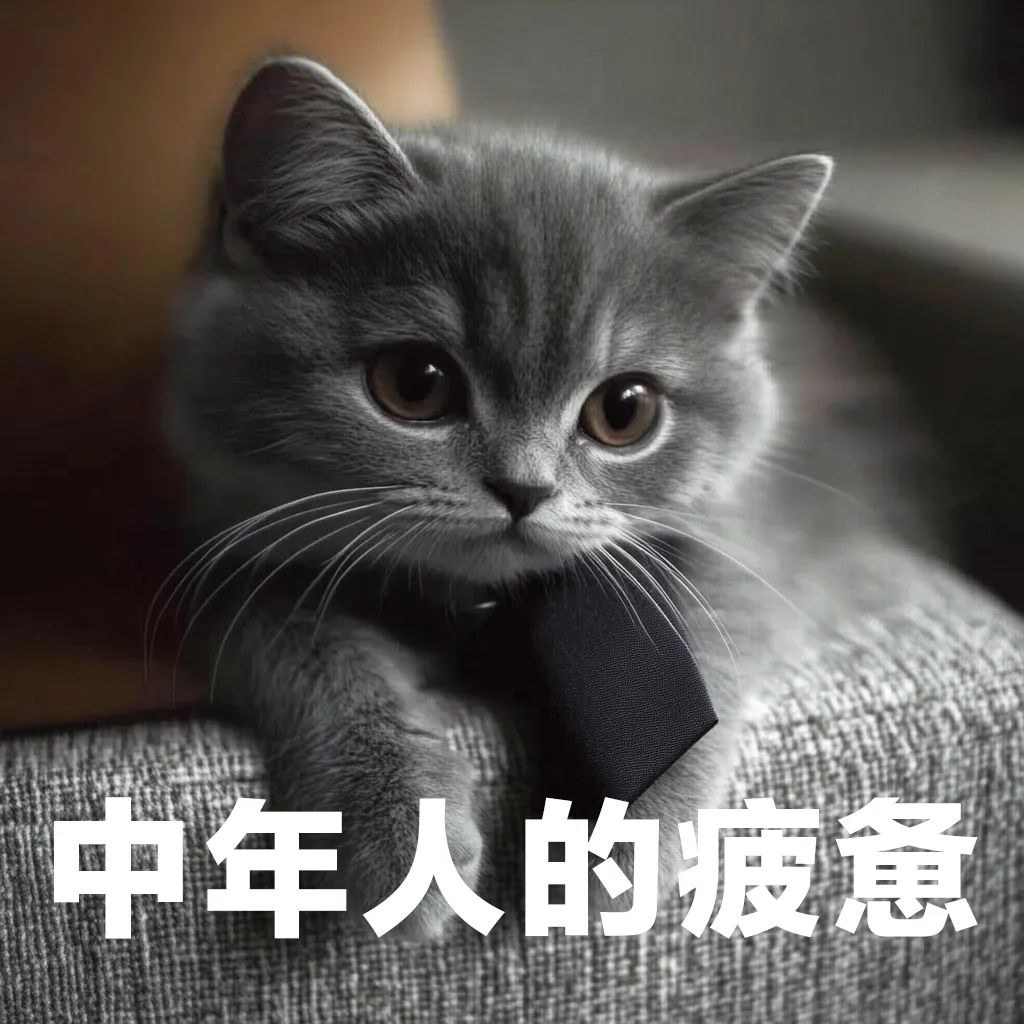 圖片.png 圖片.png