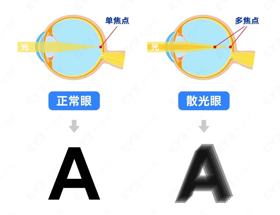 圖片.png 圖片.png