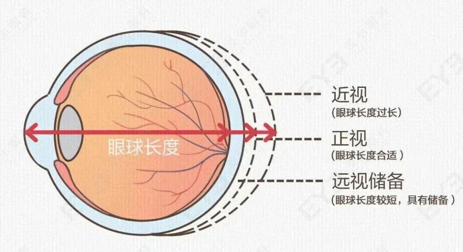 圖片.png 圖片.png