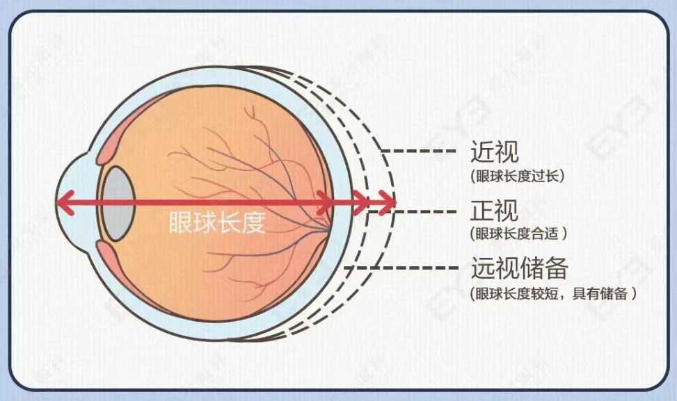 圖片.png 圖片.png