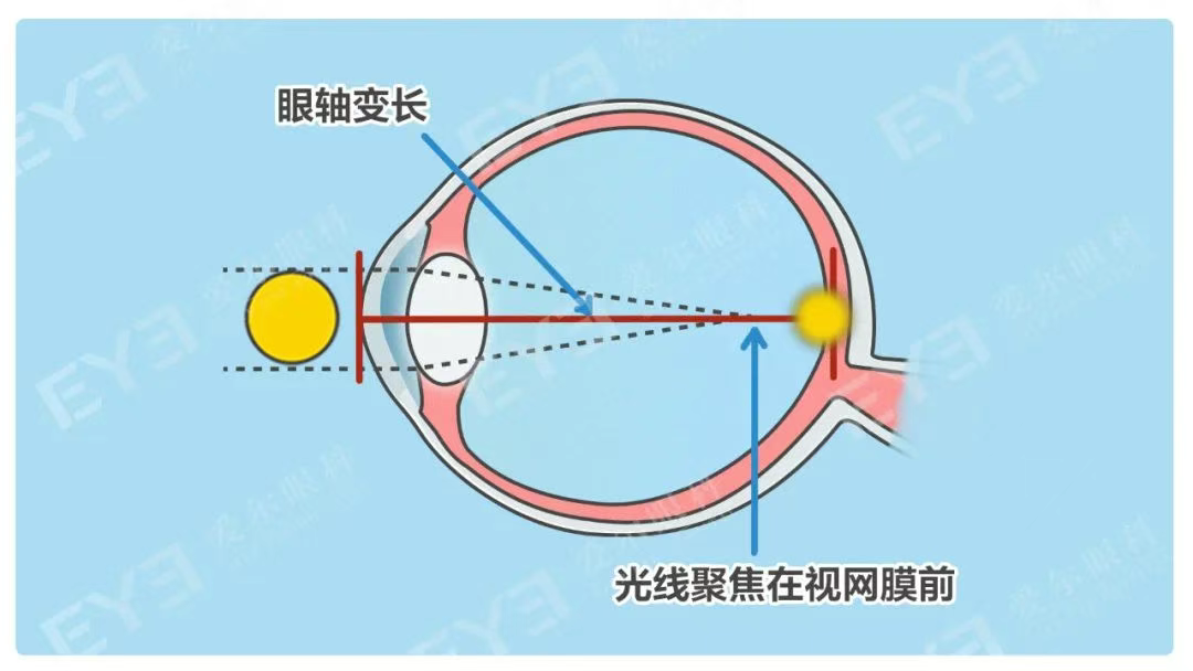 圖片.png 圖片.png