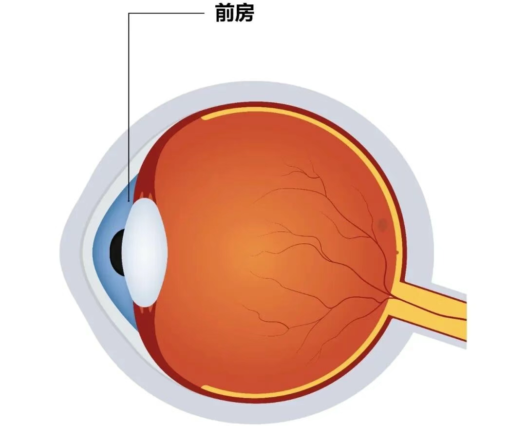 圖片.png 圖片.png